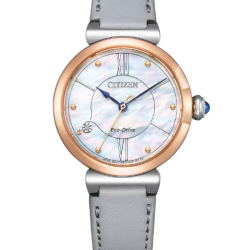 Citizen EM1074-15D Horloge Citizen EM1074-15D Horloge