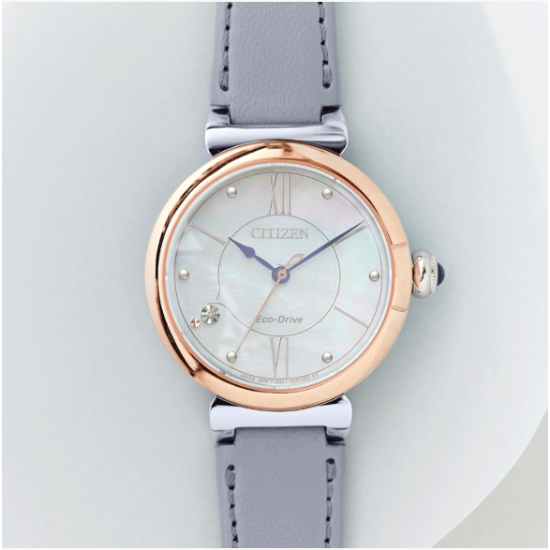 Citizen EM1074-15D Horloge Citizen EM1074-15D Horloge