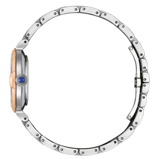 Citizen EM1074-82D Horloge Citizen EM1074-82D Horloge