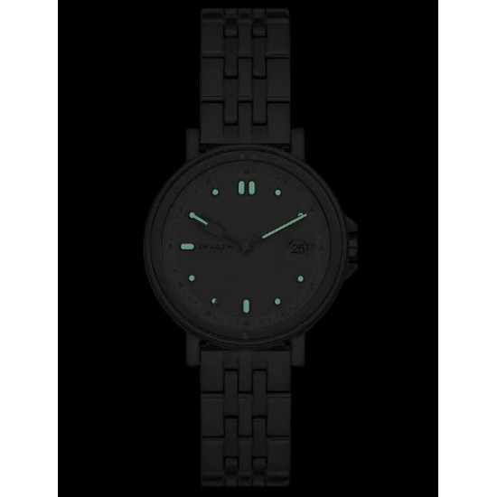 Skagen SKW3137 Horloge